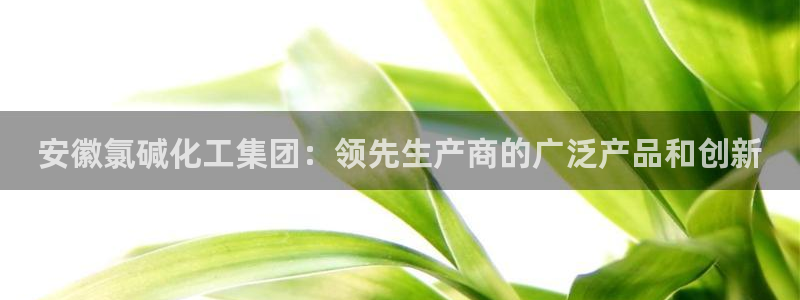 球盟会官网网页版