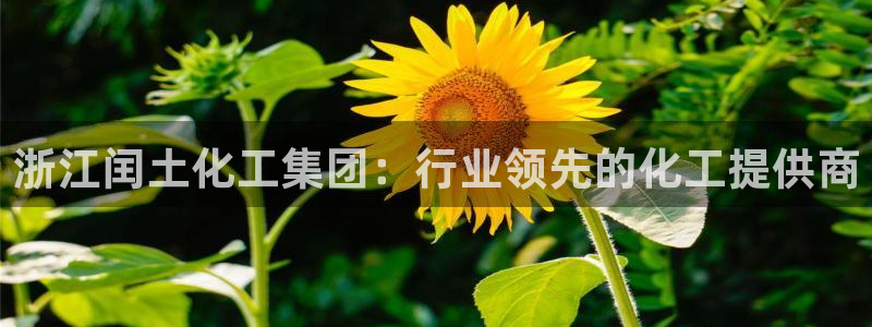 球盟会网页版登陆