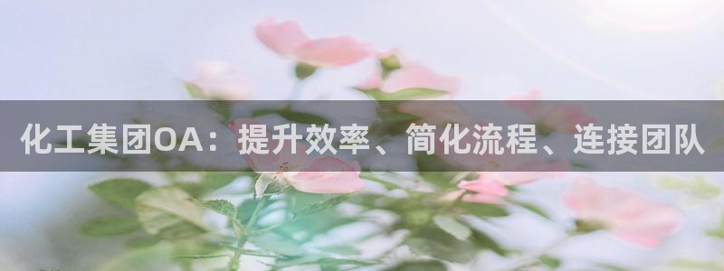 球盟会能提现吗