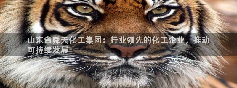 球盟会官方登录平台
