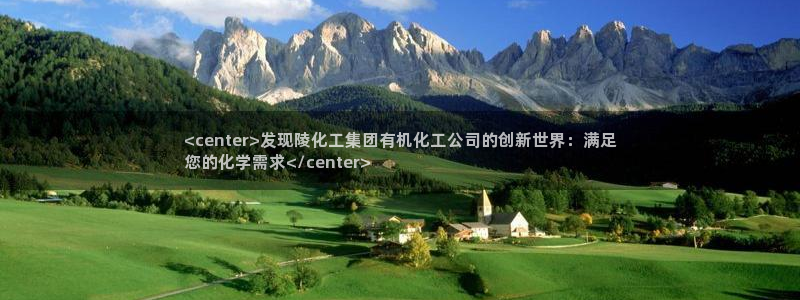 球盟会进不去