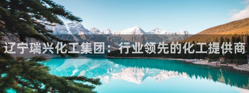 球盟会入口