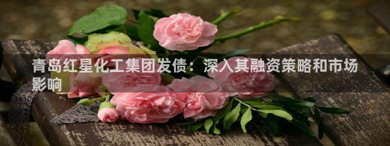 球盟会中国网页登录