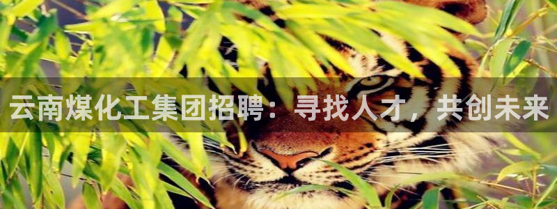 球盟会平台会黑单吗