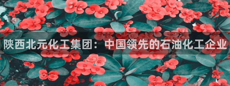 球盟会最新地址备用