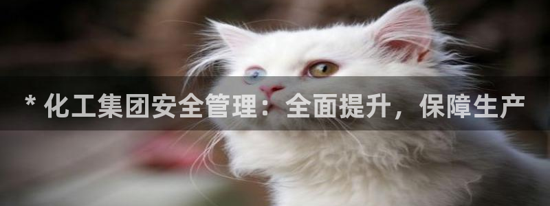 球盟会可以提现么是真的吗