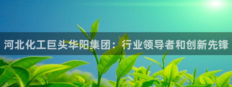 球盟会国际官网