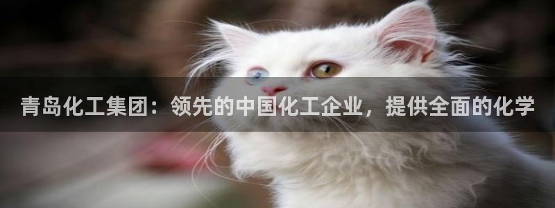 球盟会综合体育平台怎么样：青岛化工集团：领先的中国化工企业，