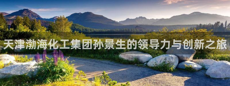 球盟会qmh网址：天津渤海化工集团孙景生的领导力与创新之旅