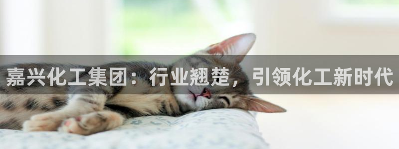 球盟会qm：嘉兴化工集团：行业翘楚，引领化工新时代