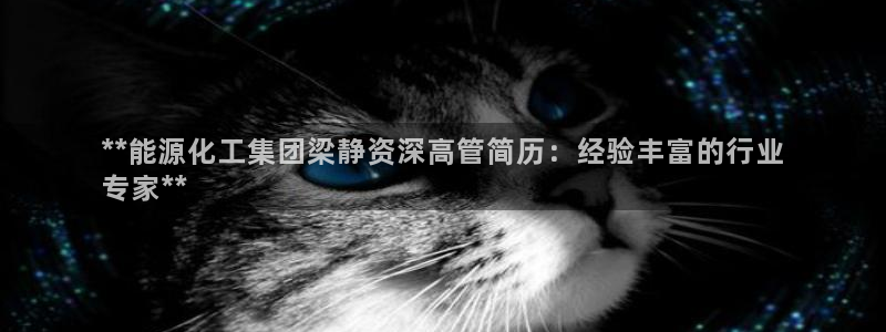 球盟会官方网入口：**能源化工集团梁静资深高管简历：经验丰富