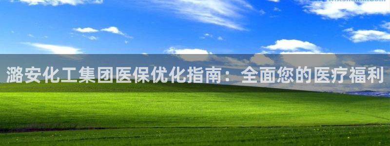 球盟会黑款吗：潞安化工集团医保优化指南：全面您的医疗福利