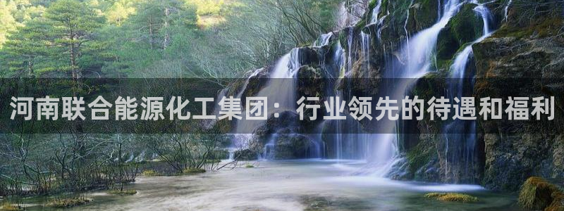 球盟会有没有黑单的球员：河南联合能源化工集团：行业领先的待遇