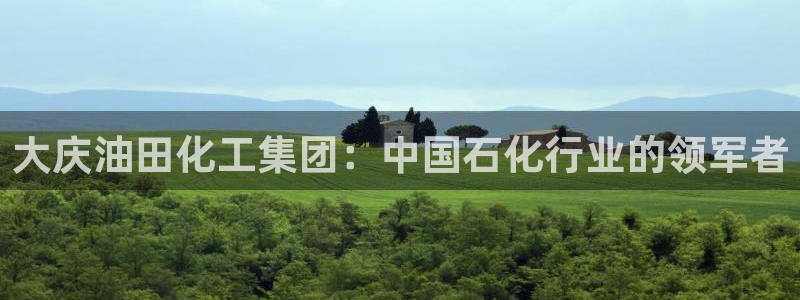 球盟会封禁：大庆油田化工集团：中国石化行业的领军者