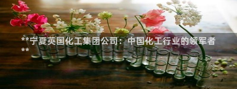 球盟会综合app下载：**宁夏英国化工集团公司：中国化工行业