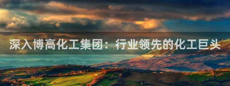 球盟会登录入口：深入博高化工集团：行业领先的化工巨头
