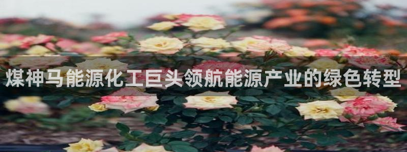 球盟会进不去：煤神马能源化工巨头领航能源产业的绿色转型