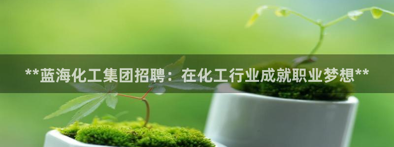 球盟会综合体育平台：**蓝海化工集团招聘：在化工行业成就职业