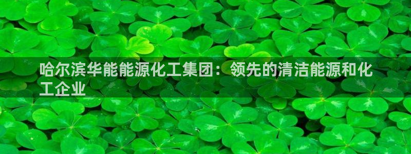 球盟会官方：哈尔滨华能能源化工集团：领先的清洁能源和化
工企