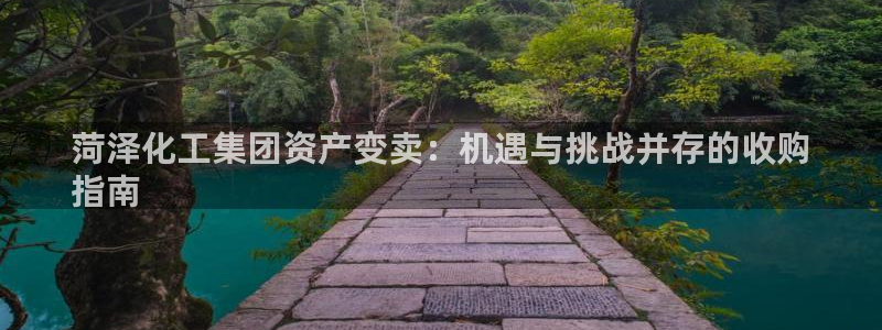 球盟会官方版下载地址：菏泽化工集团资产变卖：机遇与挑战并存的