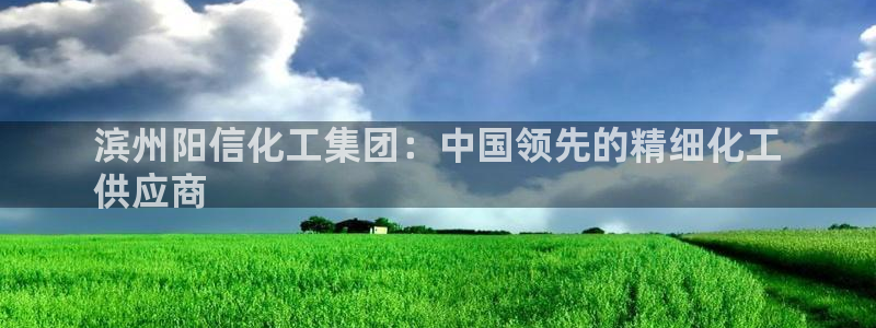 球盟会官网网页版：滨州阳信化工集团：中国领先的精细化工
供应