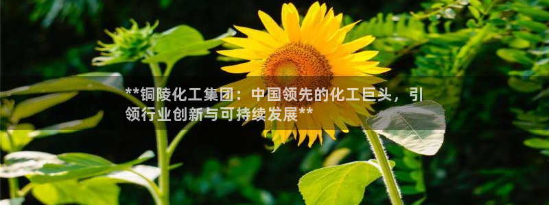 球盟会官方网站入口：**铜陵化工集团：中国领先的化工巨头，引
