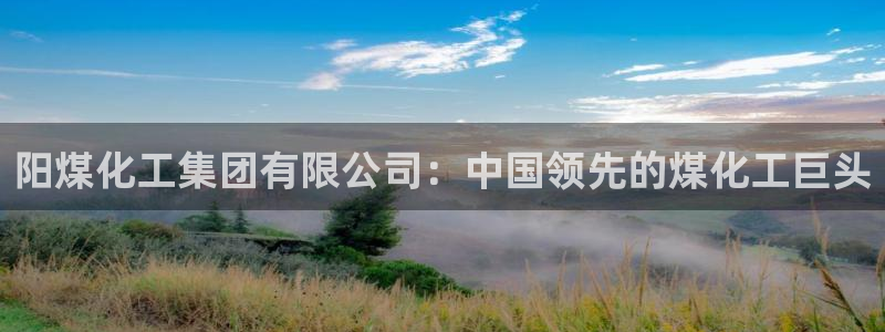 球盟会app最新地址在哪：阳煤化工集团有限公司：中国领先的煤