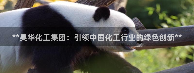 球盟会网址：**昊华化工集团：引领中国化