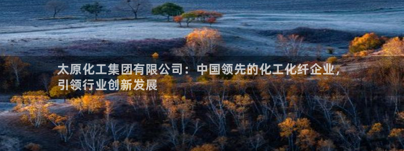 球盟会可靠不：太原化工集团有限公司：中国领先的化工化纤企业，