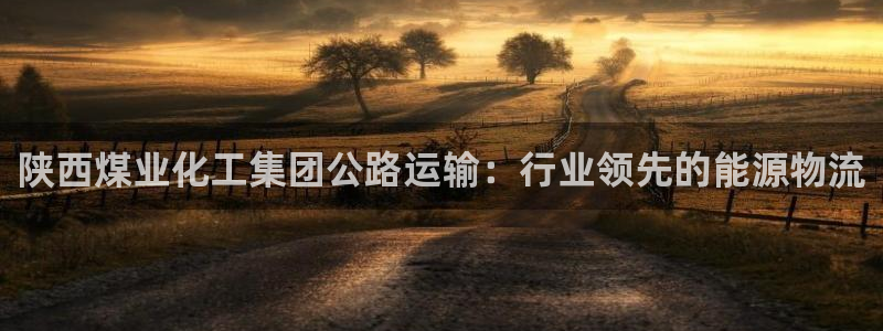 球盟会优惠领取网站：陕西煤业化工集团公路