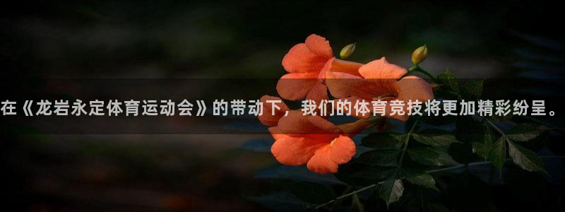 球王会体育
