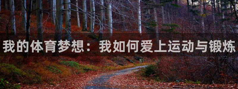 球王会体育