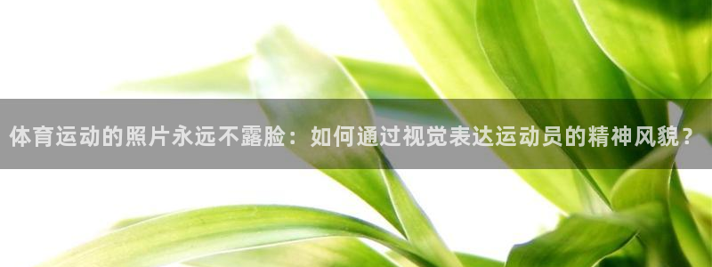 球王会体育