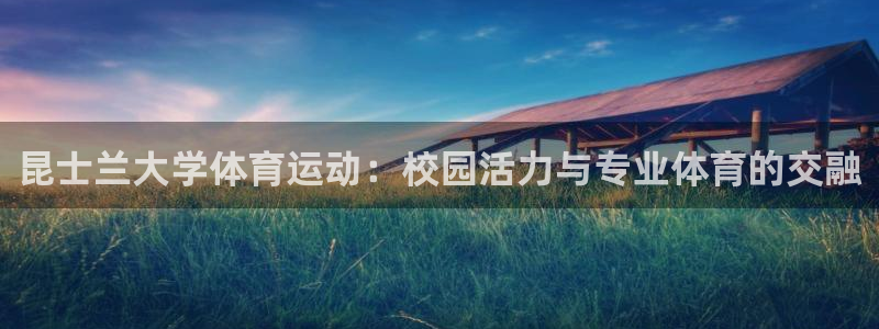 球王会体育