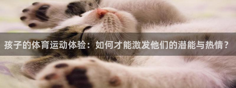 球王会体育