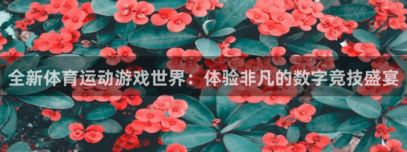 球王会体育