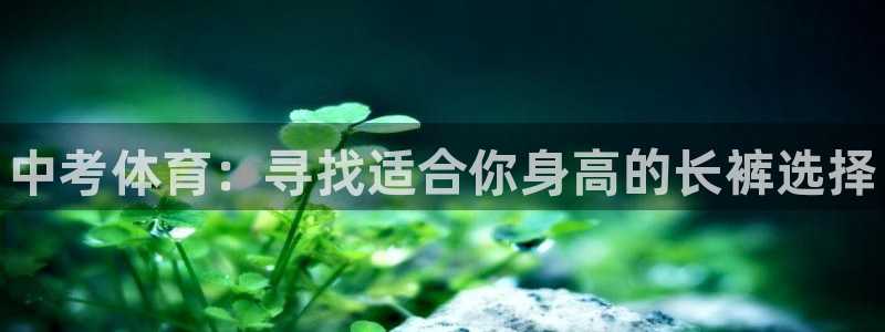球王会体育