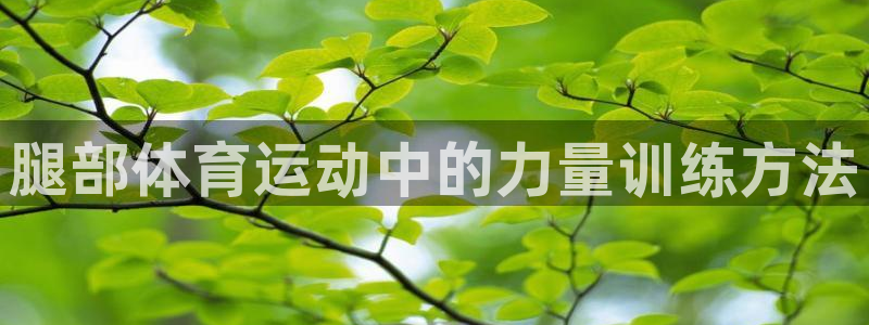 球王会体育