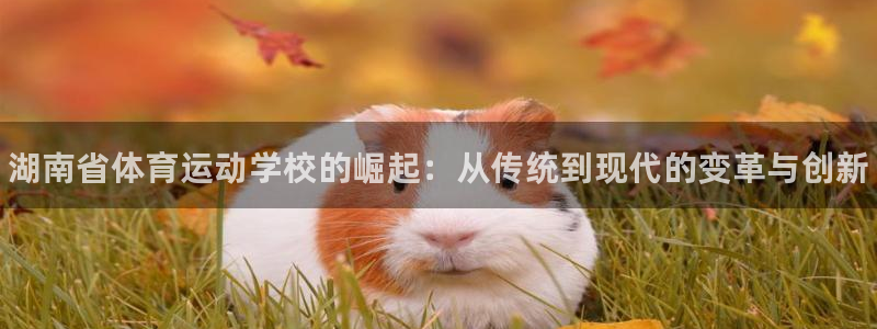 球王会体育