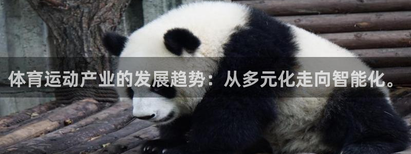 球王会体育