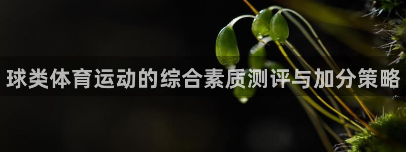 球王会体育