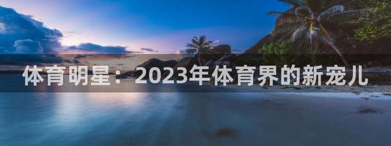 球王会体育