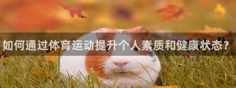 球王会体育