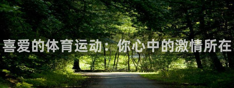 球王会体育