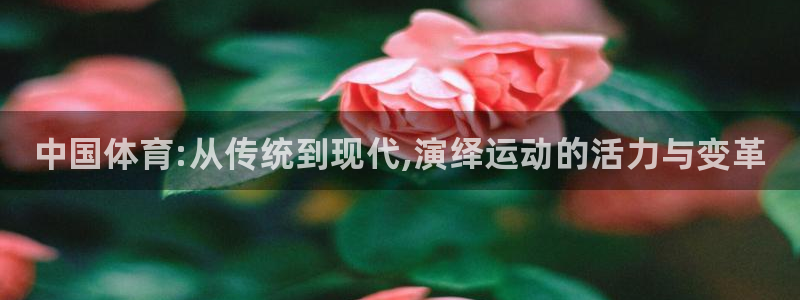 球王会体育