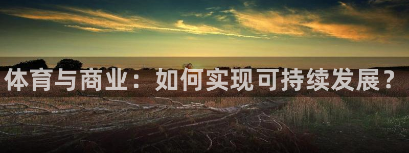 球王会体育