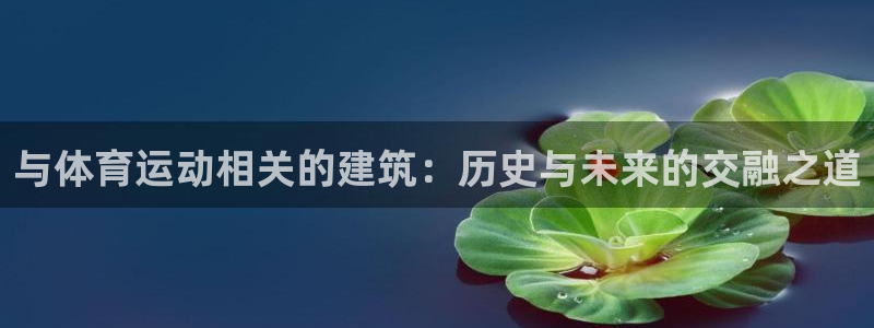 球王会体育