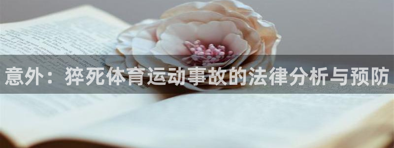 球王会体育