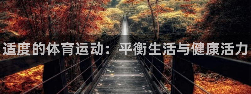 球王会体育