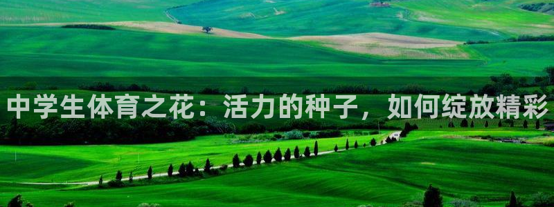 球王会体育